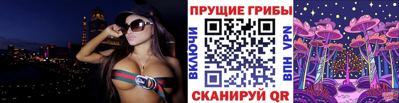 hydra ссылки  Тюмень  Галлюциногенные грибы Psilocybe 